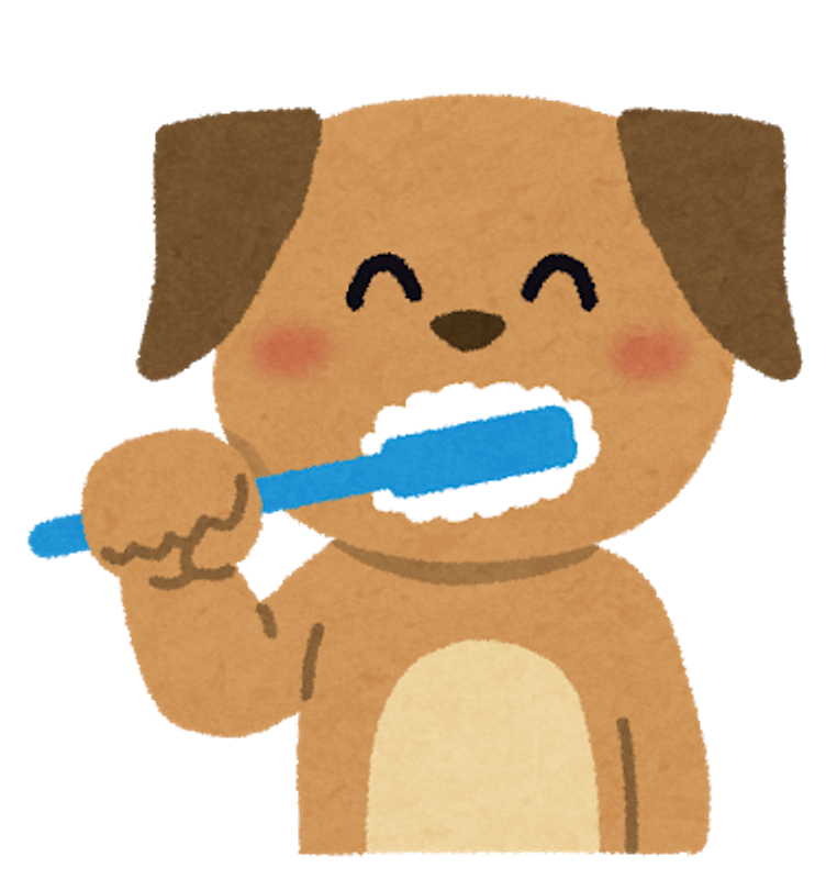バイオペーストルースで犬の歯磨き